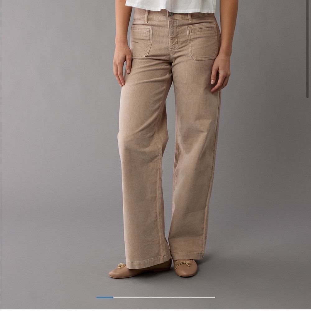 American Eagle Outfitters Tan Wide-Leg Pants